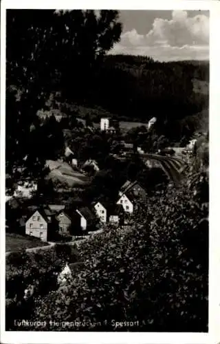 Ak Heigenbrücken im Spessart Unterfranken, Teilansicht