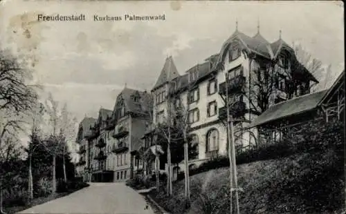 Ak Freudenstadt im Schwarzwald, Kurhaus Palmenwald