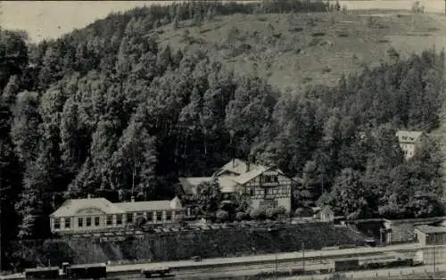 Ak Rentzschmühle Pöhl im Vogtland, Hotel Steinicht