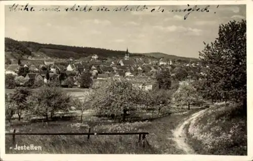 Ak Jestetten im Klettgau am Hochrhein Baden Württemberg, Gesamtansicht, Pfad