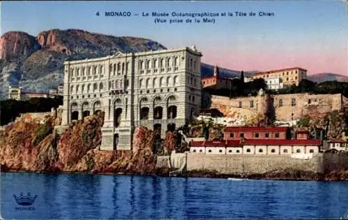 Ak Monaco, Musee Oceanographique, Tete de Chien, Vue prise de la Mer