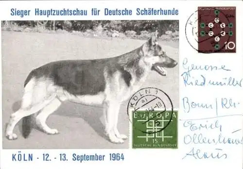 Ak Köln, Hauptzuchtschau für Deutsche Schäferhunde 1964, Sieger