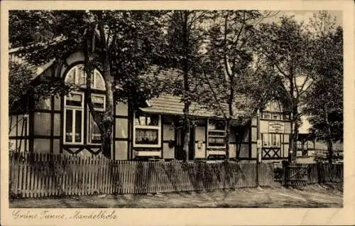 Ak Mandelholz Elend Oberharz am Brocken, Gast und Pensionshaus Grüne Tanne