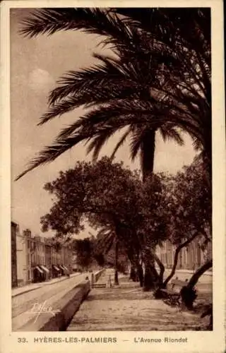 Ak Hyères les Palmiers Var, l'Avenue Riondet