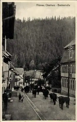 Ak Altenau Clausthal Zellerfeld im Oberharz, Breitestraße, Kuhherde