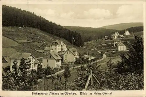 Ak Altenau im Oberharz, Blick ins kleine Okertal, Wald