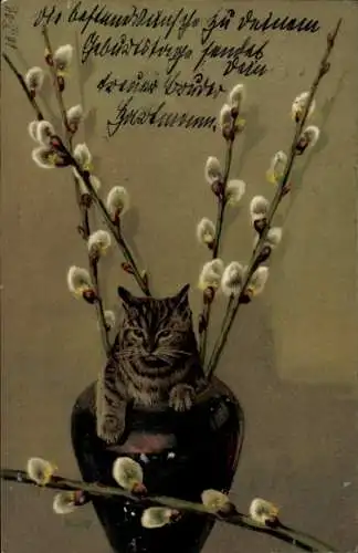 Künstler Ak Mailick, Katze in einer Blumenvase, Weidenkätzchen