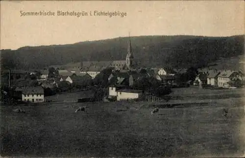Ak Bischofsgrün im Fichtelgebirge, Teilansicht, Kirche