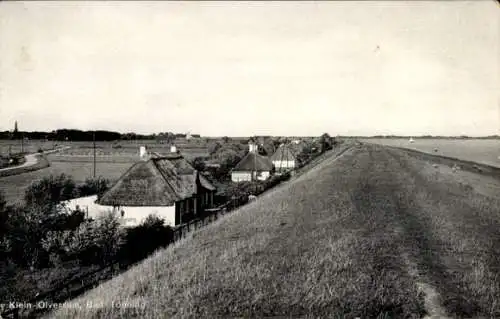 Ak Tönning an der Eider Nordfriesland, Klein Olversum, Deich, Teilansicht