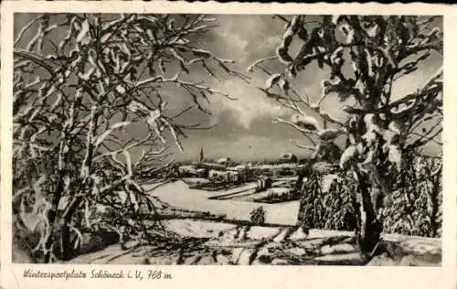 Ak Schöneck im Vogtland, Gesamtansicht, Winter