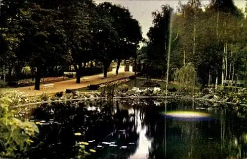 Ak Kötzschenbroda Radebeul in Sachsen, Genesungsheim Zitzschewig, Platanen-Allee, Park
