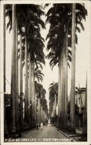 Ak Rio de Janeiro Brasilien, Rua Paysandu, Palmengesäumte Straße