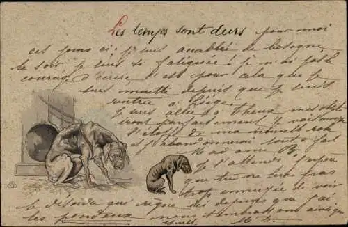 Litho Abgemagerte Hunde an der Hundehütte, Tierschutz