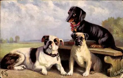Künstler Ak Serie Dackel, 3 Hunde