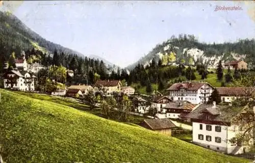 Ak Birkenstein Fischbachau in Oberbayern, Ortsansicht