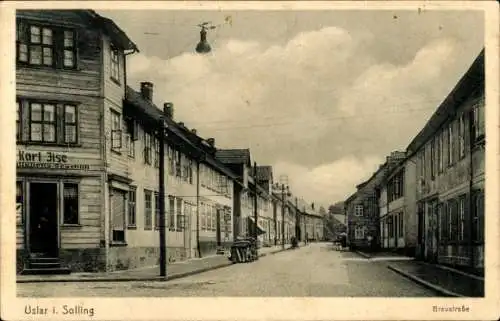 Ak Uslar im Solling Niedersachsen, Braustraße