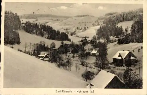 Ak Duszniki Zdrój Bad Reinerz Schlesien, Kohlauer Tal, Winteransicht