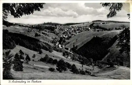 Ak Sankt Andreasberg Braunlage im Oberharz, Panorama