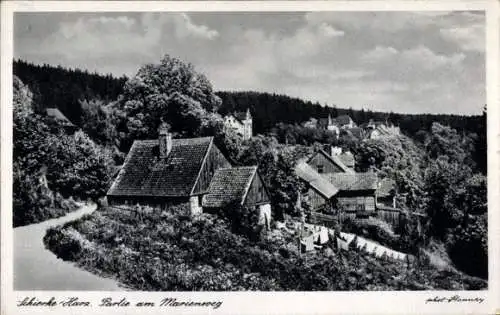 Ak Schierke Wernigerode im Harz, Marienweg