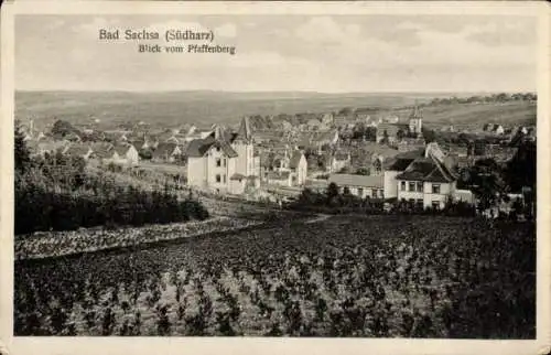 Ak Bad Sachsa im Harz, Blick vom Pfaffenberg