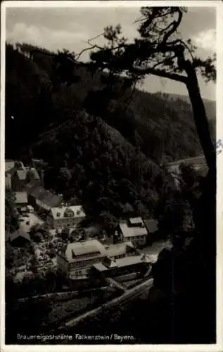 Ak Falkenstein Ludwigsstadt in Oberfranken, Brauereigaststätte