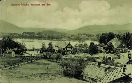 Ak Hammelburg in Unterfranken Bayern, Hammer am See, Teilansicht