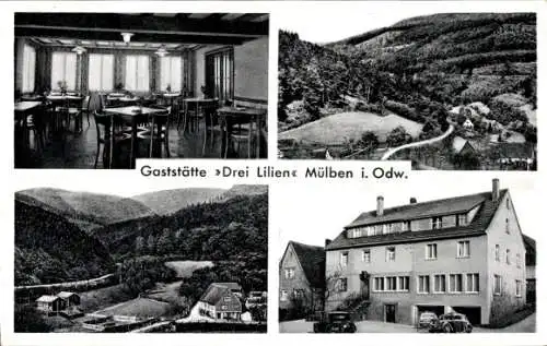 Ak Mülben Waldbrunn im Odenwald, Gasthof Drei Lilien, Teilansicht