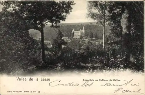 Ak Houyet Wallonien Namur, Sous bois, château de Celles