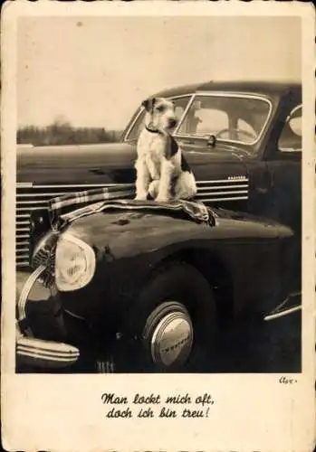 Ak Man lockt mich oft, doch ich bin treu, Foxterrier, Auto