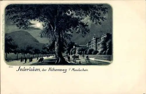 Mondschein Ak Interlaken Kanton Bern Schweiz, Allee bei Nacht