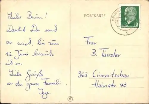 Ak Zwei Terrier, Halsband, Tierportrait