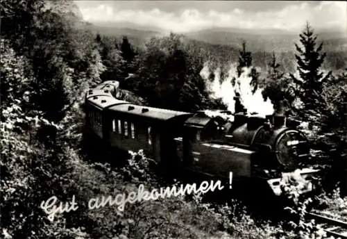 Ak Gut angekommen, Deutsche Eisenbahn, Dampflokomotive in voller Fahrt