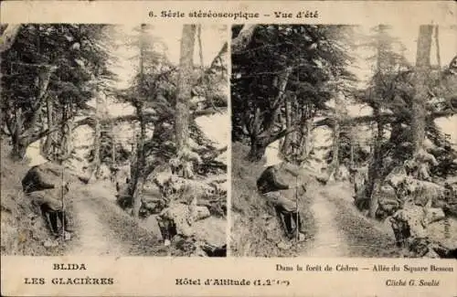 Stereo Ak Blida Algerien, Les Glacieres, Wanderer im Wald