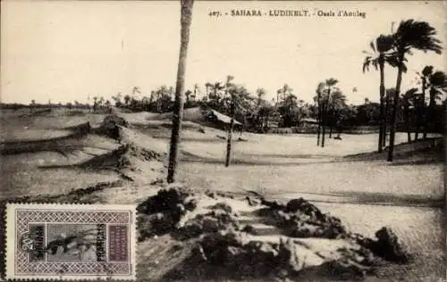 Ak Sahara Algerien, Ludikelt, Oase, Palmen