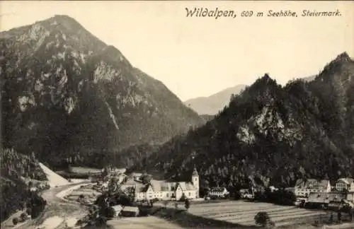 Ak Wildalpen Steiermark, Teilansicht vom Ort mit Umgebung