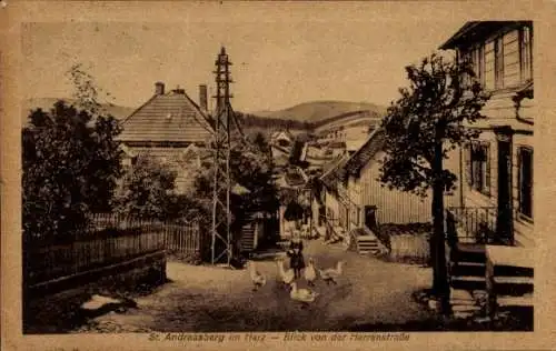 Ak Sankt Andreasberg Braunlage im Oberharz, Blick von der Herrenstraße, Gänse