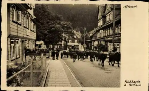 Ak Altenau Clausthal Zellerfeld im Oberharz, Kuhherde am Rathaus