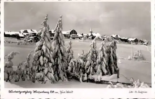 Ak Masserberg in Thüringen, Teilansicht, Winter