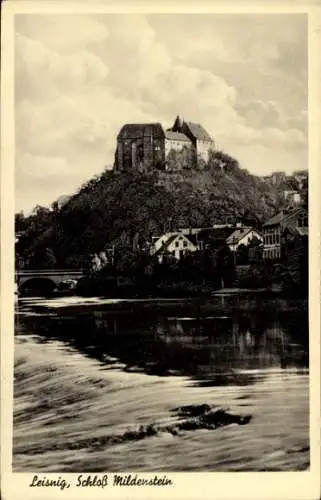Ak Leisnig an der Freiburger Mulde Sachsen, Blick über Mulde zum Schloss Muldenstein