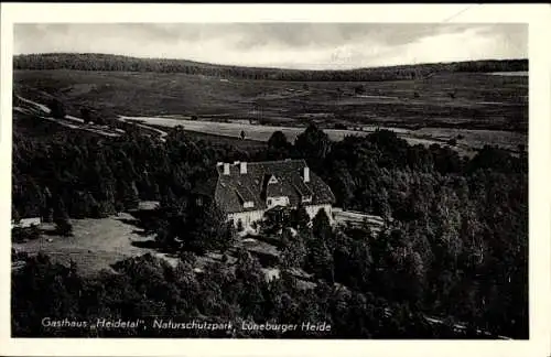 Ak Behringen Bispingen Lüneburger Heide, Gasthaus Heidetal, Naturschutzpark, Panorama