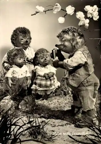 Ak Mecki der Igel, Bitte recht freundlich, Igelfamilie, Familienfoto, Blumen, Fotoapparat