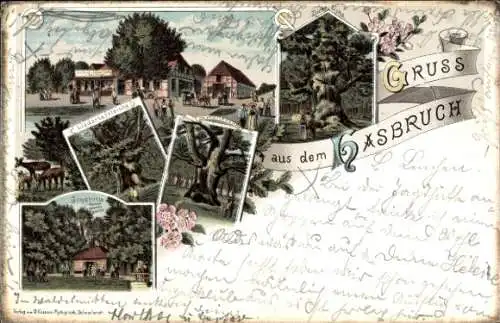 Litho Hude in Niedersachsen, Hasbruch, Gasthaus zum Falkenburg von Neumeyer, Bäume, Dicke Eiche