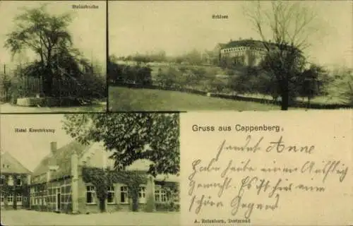 Ak Cappenberg Selm im Münsterland, Schloss Cappenberg, Steinsbuche, Hotel Kreutzkamp