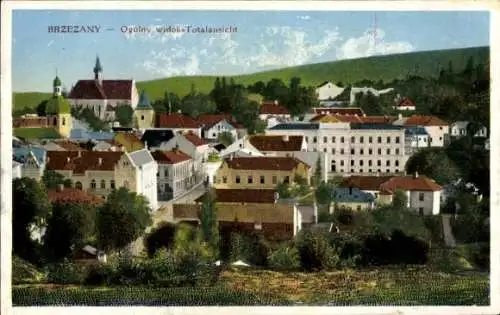 Ak Bereschany Brzezany Ukraine, Totalansicht