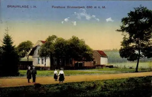 Ak Braunlage, Forsthaus Brunnenbach, Spaziergänge