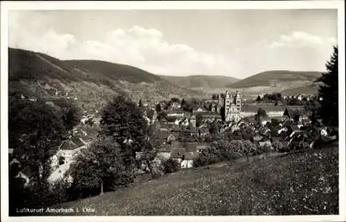 Ak Amorbach im Odenwald Unterfranken, Panorama