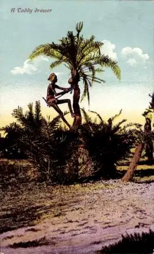 Ak Indien, Toddy-Schublade