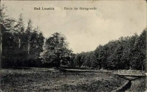 Ak Bad Lausick in Sachsen, Steingrund