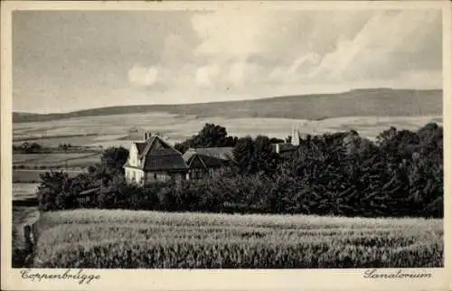 Ak Coppenbrügge Niedersachsen, Sanatorium, Panorama