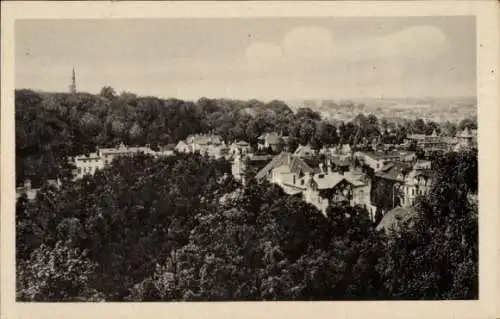 Ak Eberswalde im Kreis Barnim, Waldstadt, Panorama